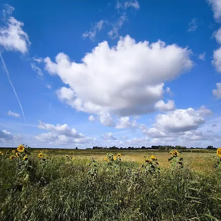 5 Person In Sydals-by Traum Nedre Lysabild