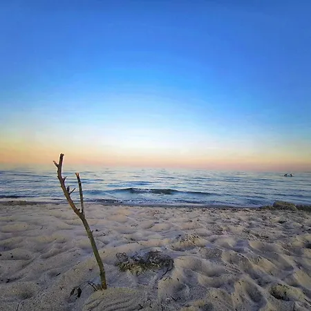 5 Person In Sydals-by Traum * Nedre Lysabild