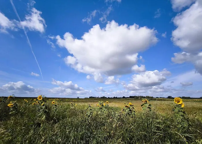 5 Person In Sydals-by Traum Nedre Lysabild