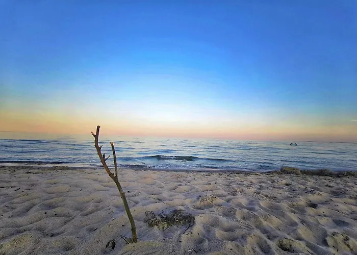 5 Person In Sydals-by Traum * Nedre Lysabild